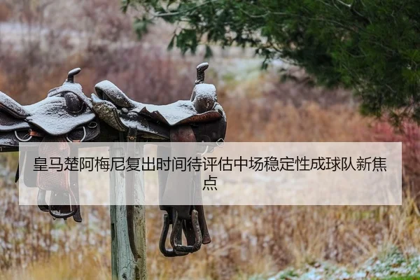 皇马楚阿梅尼复出时间待评估中场稳定性成球队新焦点